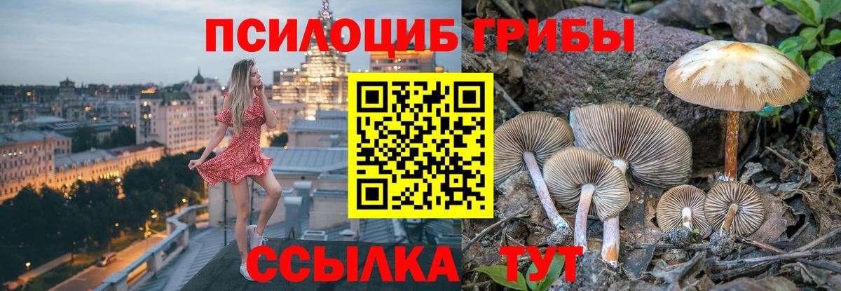 Галлюциногенные грибы Magic Shrooms Анжеро-Судженск