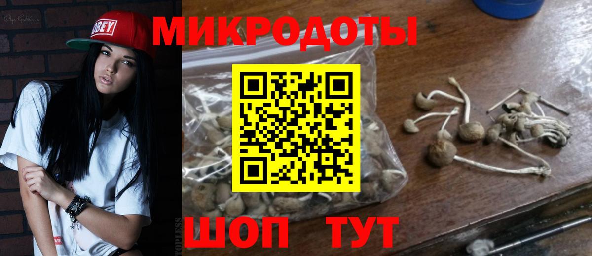 Псилоцибиновые грибы Psilocybe  Вход с VPN  Псилоцибиновые грибы мицелий  Анжеро-Судженск 